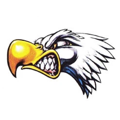Autocollant AIGLE ATTACK Pour Décorer Le Vélo