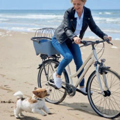 Panier Vélo Pour Chien Bleu Tendance Basil Buddy -Mon Univers Velo Magasin panier velo pour chien bleu tendance basil buddy 4