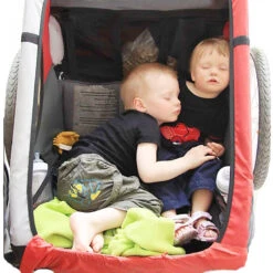 Remorque Vélo Double Pour Enfant Avec Kit Piéton -Mon Univers Velo Magasin remorque velo double pour enfant avec kit pieton 1